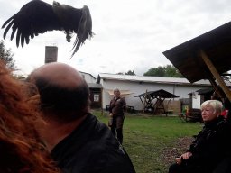 500 Treffen 2017 Tag2